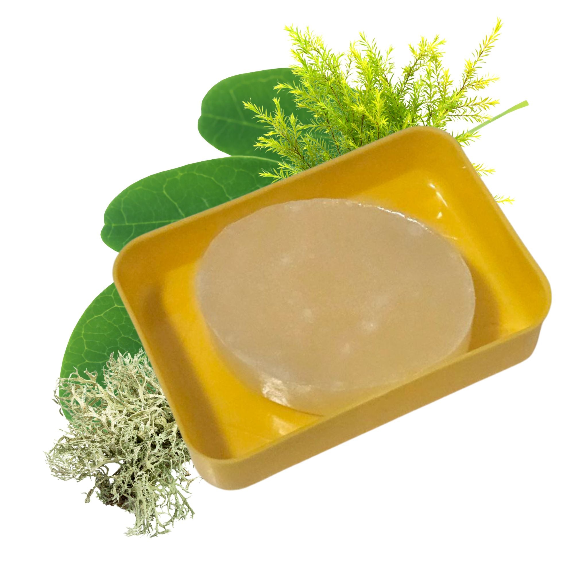 Moringa sapun za savršeno čisto lice bez akni i mitisera – Menna Kozmetika