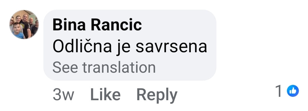 Menna recenzija 119